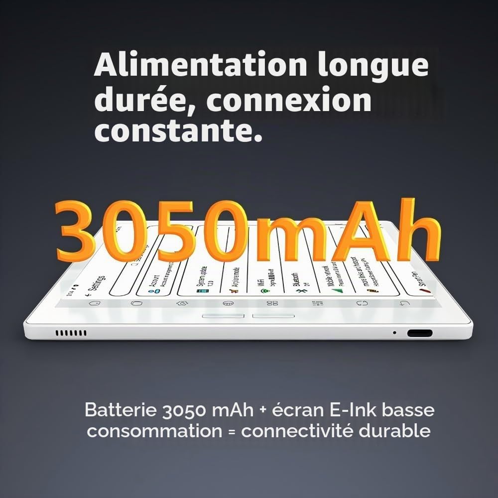 Bigme B751C-S Couleur eReader, tablette ePaper 7 pouces Eink pour prendre des notes avec stylet, 4 Go + 64 Go, housse de protection, tablette e-Reader e-Ink Android avec traduction audiolivre, longue