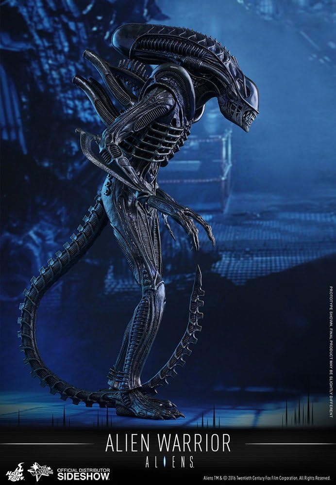 Hot Toys HT902693 1:6 Scale Alien Warrior Figure