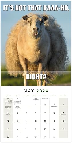 Miniatura 8 de 2024 Animal Memes Monthly Wall Calendar, 12" x 12" (LME3101024)