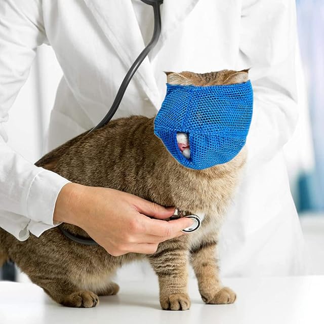 Foto 7 de 7 de Bozal de malla transpirable para gatos