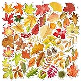 50枚入りの秋の葉のシール、ウォーターボトル、ノートパソコン、スクラップブック、スケートボード、ジャーナリング、荷物、お子様の賞品、教室の特典などに最適な防水ビニールステッカー (紅葉)