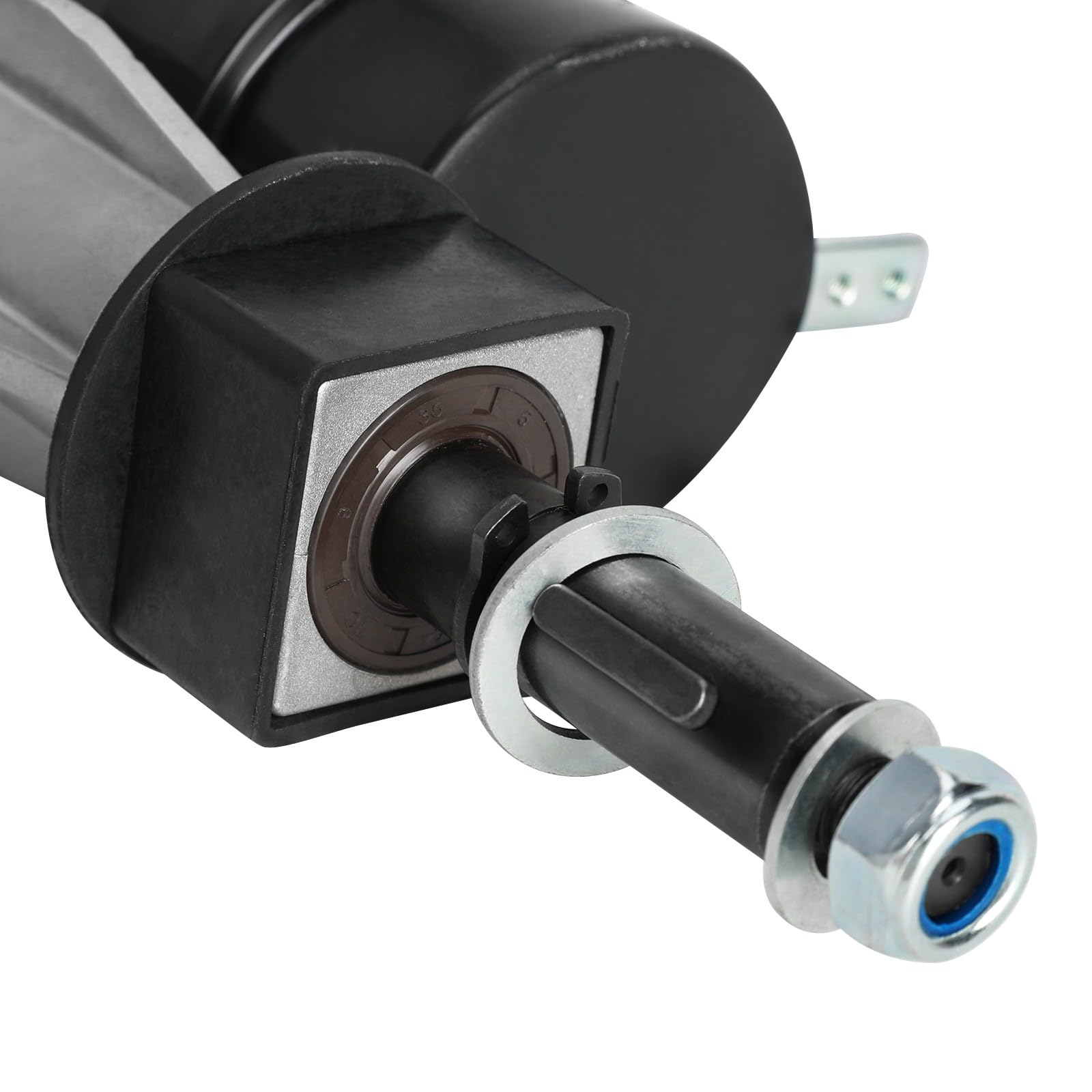 Amazon.com: ZXTDR 24V 180W Brush Electric Motor Transaxle