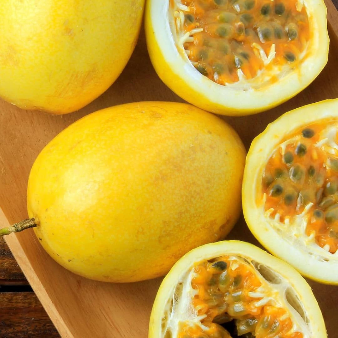 M-Tech Gardens Rare Passion Fruit (" Giant Yellow, Hybrid) Exotic 1 Live Fruit Plant (B094BX3YV8) Amazon Price History, Amazon Price Tracker