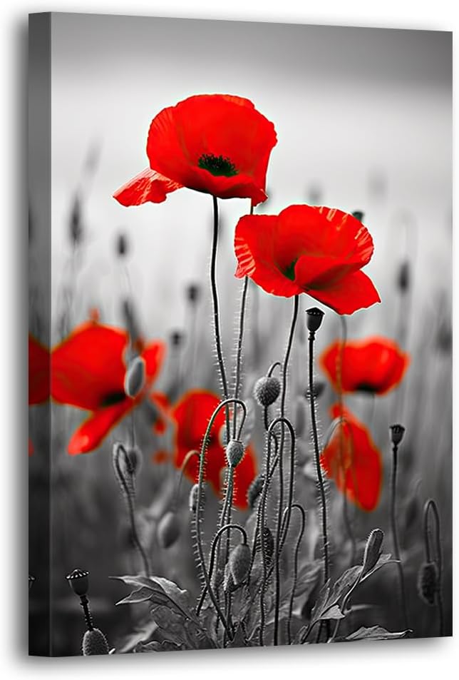 LURENCZH Poppy Canvas Wall Art Black and White Poppies Picture Prints Red Floral Wall Painting for Living Room Bedroom Decor Framed(Poppy-1,12.00" x 18.00")