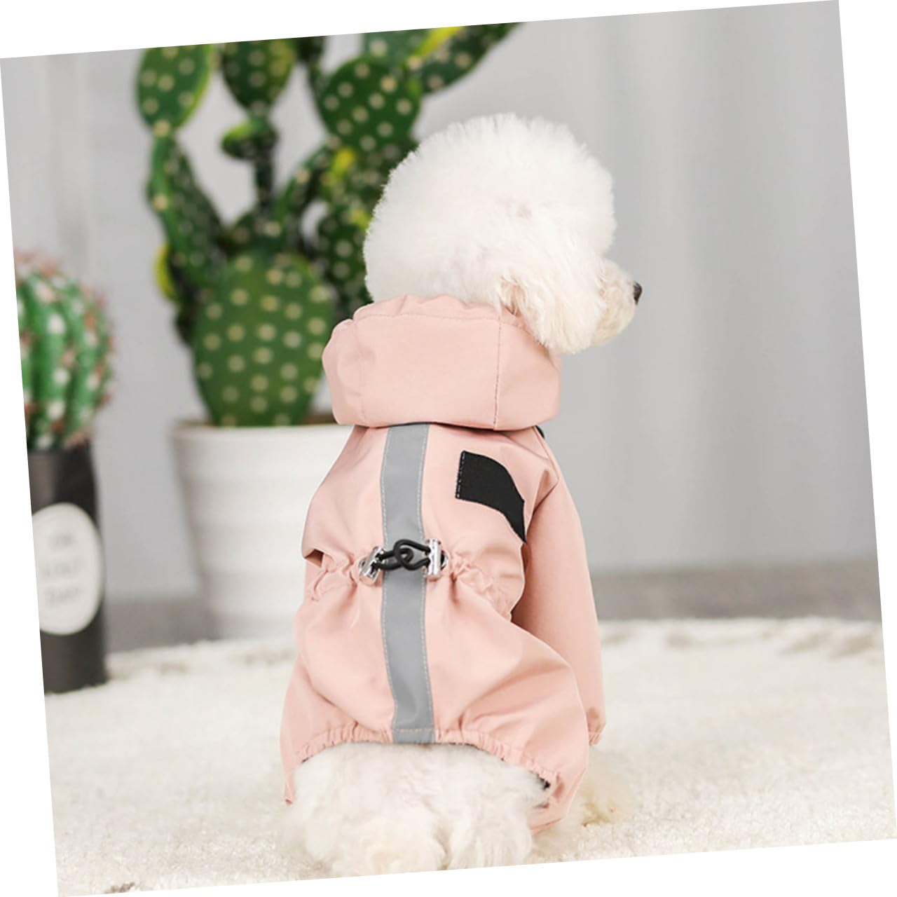 INOOMP 2pezzi Cappotto Riflettente Per Cani Regolabile Giacca Per Cani Da Pioggia Traspirante Taglia Per Occasioni Speciali e Foto