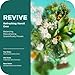 OLLY Revive Body Wash with Magnesium, Electrolytes & Vitamin B12– Nourishing Cleanser for Skin Barrier Repair, Deep Hydration, Refreshing Nerolidew Scent, 17 oz