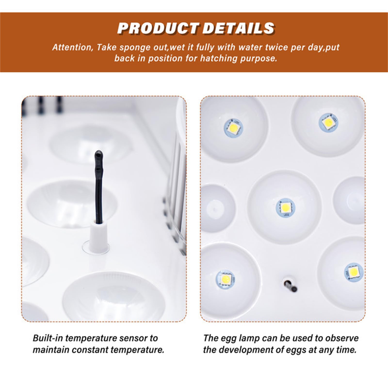 Mini 9 Huevos incubadora Chick con automático de Temperatura y Pantalla Digital LED incubadora Tortuga para Aves de Corral Reptil Regalo para niños
