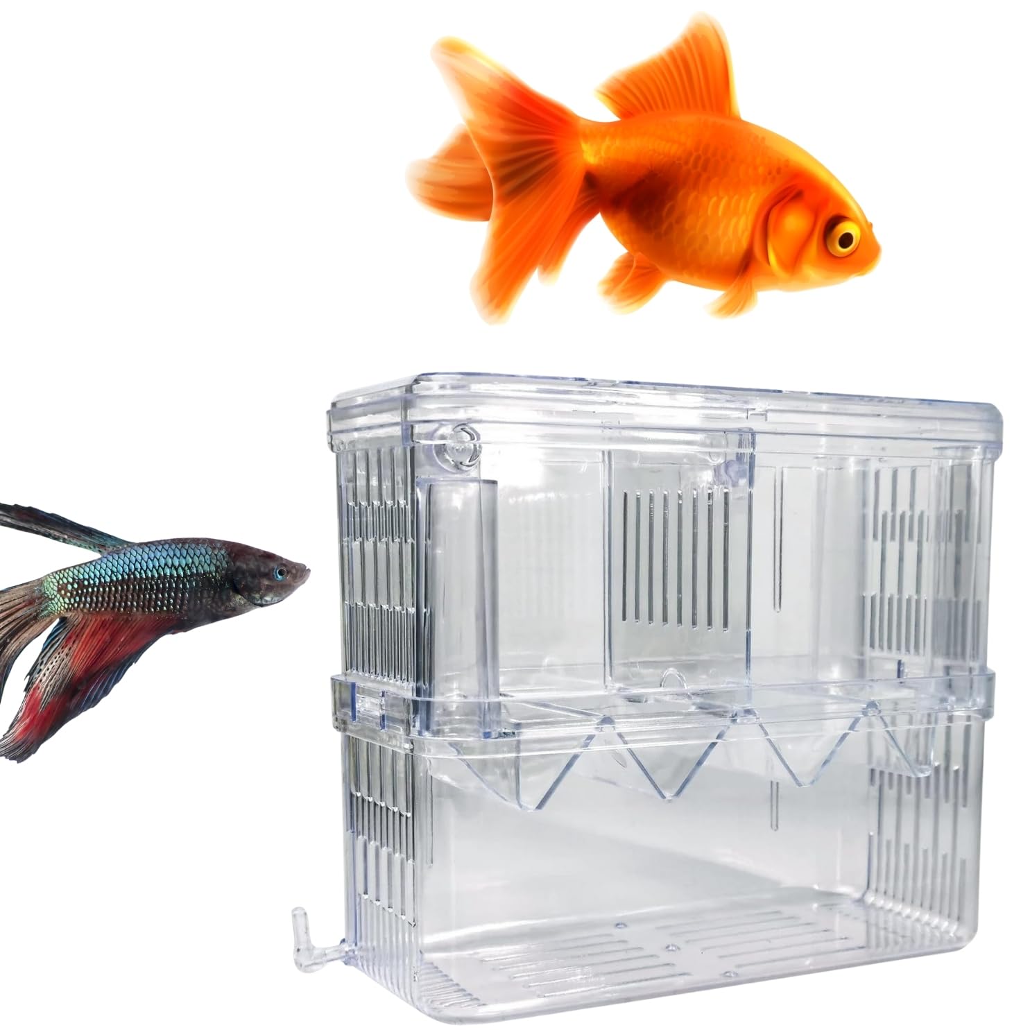 Sage Square Fish Isolation Chamber, Safe and Effective Solution for Separating Fish in Aquariums, Tank Divider, Fish Quarantine Tank, Partitioned Aquarium Chamber, Aquarium Protection Zone (B0CZ3PP166) Amazon Price History, Amazon Price Tracker