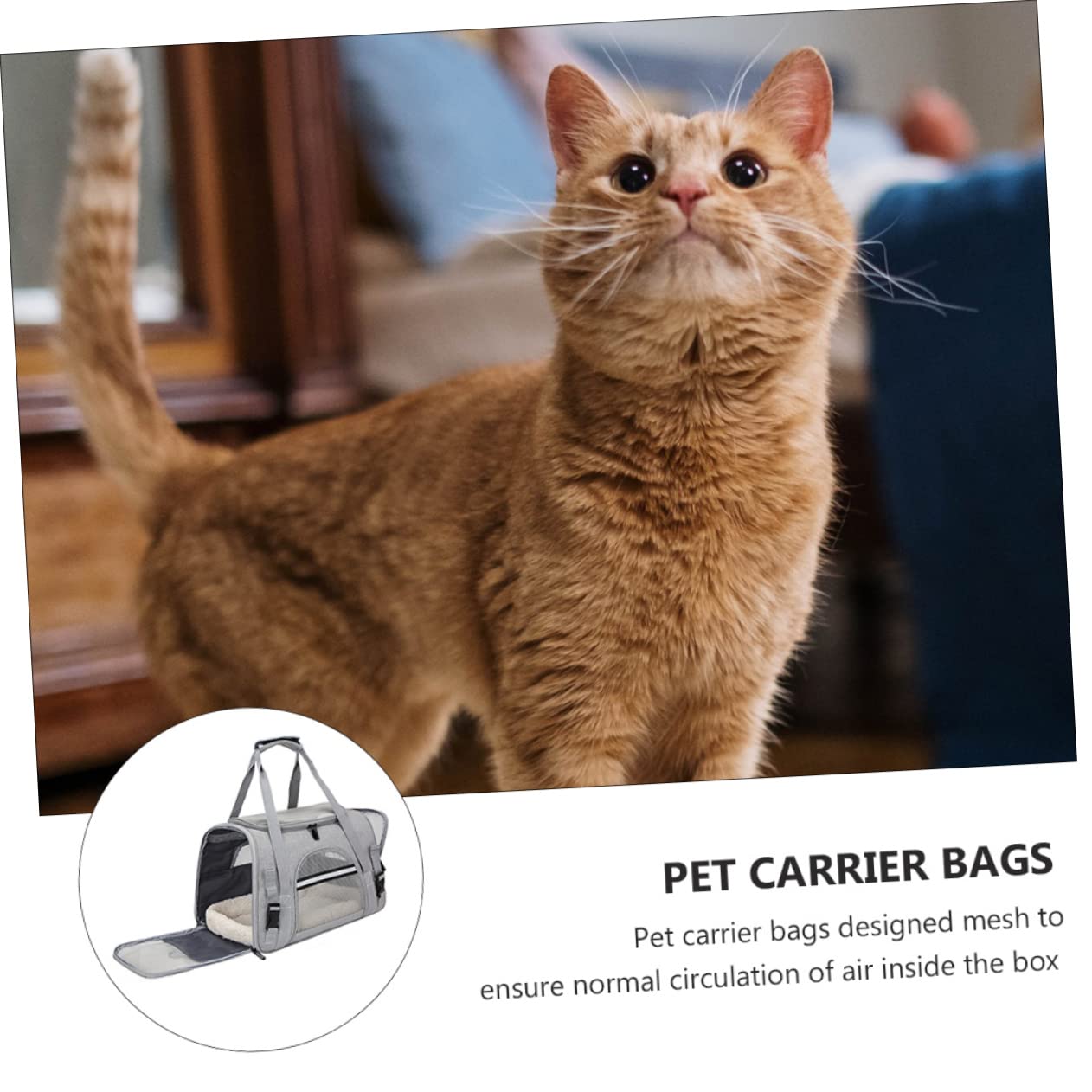 BESTonZON Transportín Portátil para Mascotas Bolsa Transpirable para Perros y Gatos para y Senderismo Material Oxford Resistente y Color Gris
