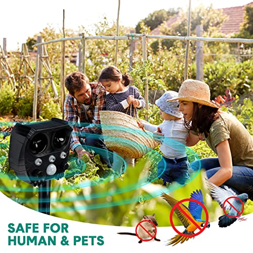Solar Powered Ultrasonic Animal Repellent Waterproof Cat Repellent With Motion Detector Squirrel Repellent Bird Deterrent Devices Outdoor Solar Deer Repellent Devices For Outdoor (Black, 2 Pcs) #TOP5