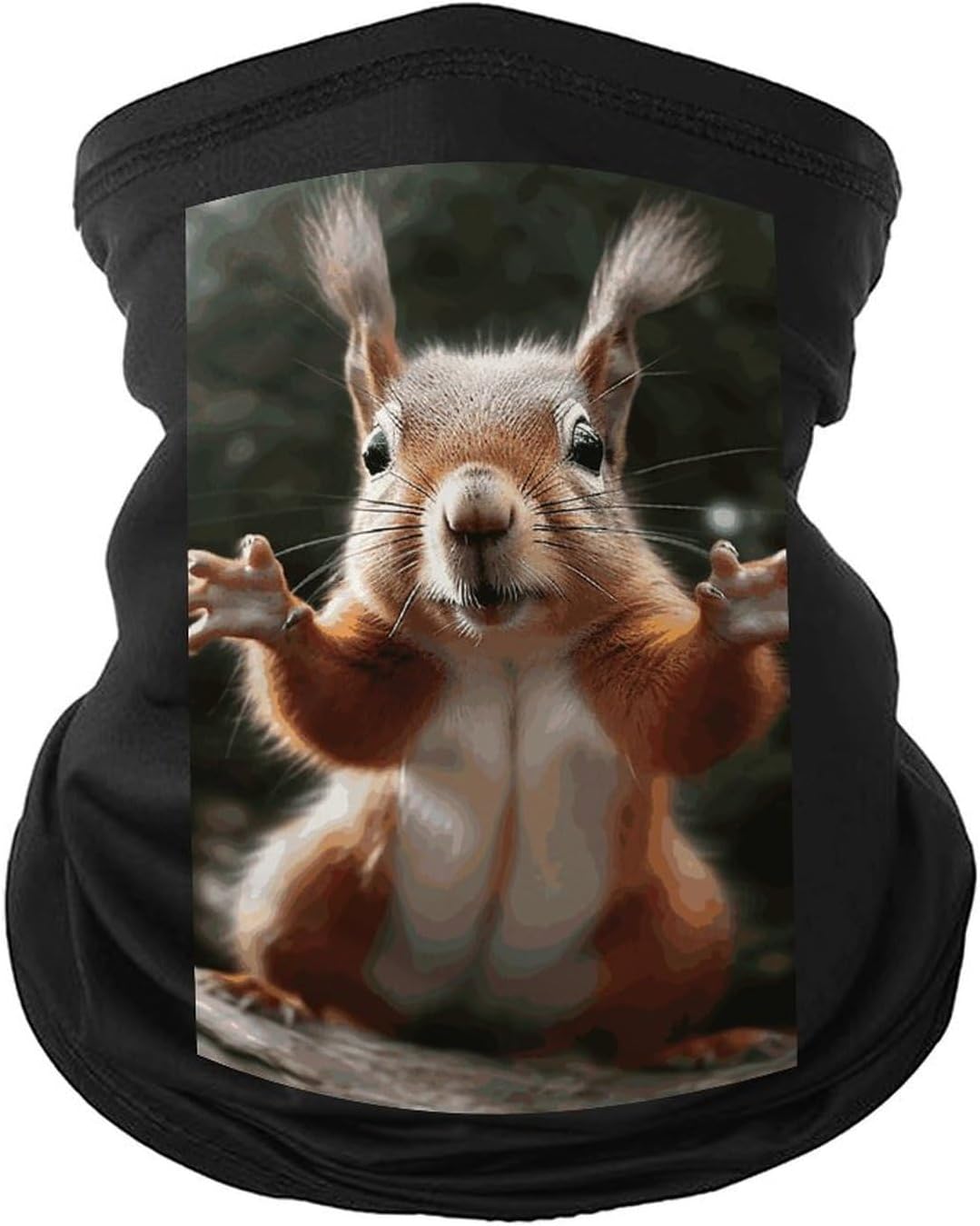 Squirrel Funny Animal Neck Gaiter Face Mask UV Protection for Men Women, Breathable Quick Dry Face Cover Bandana Outdoor Sports Balaclava Wind-Proof for Hiking Skiing Motorcycle Cycling