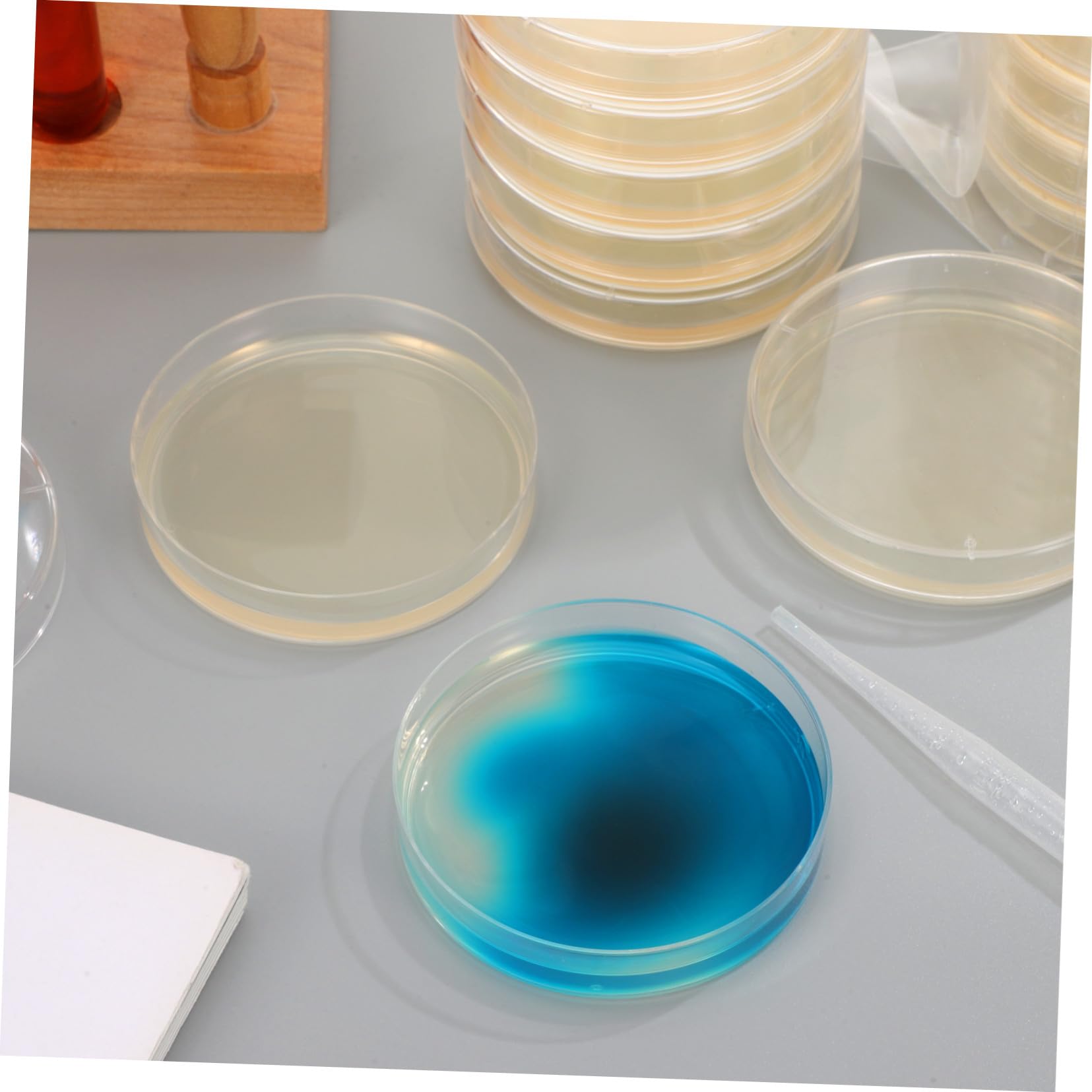 Agar Prevertido Material de Agar Nutritivo 20 Placas de Petri 7cm para Cultivo Microbiológico Ideales para Experimentos en Laboratorio y Escuela