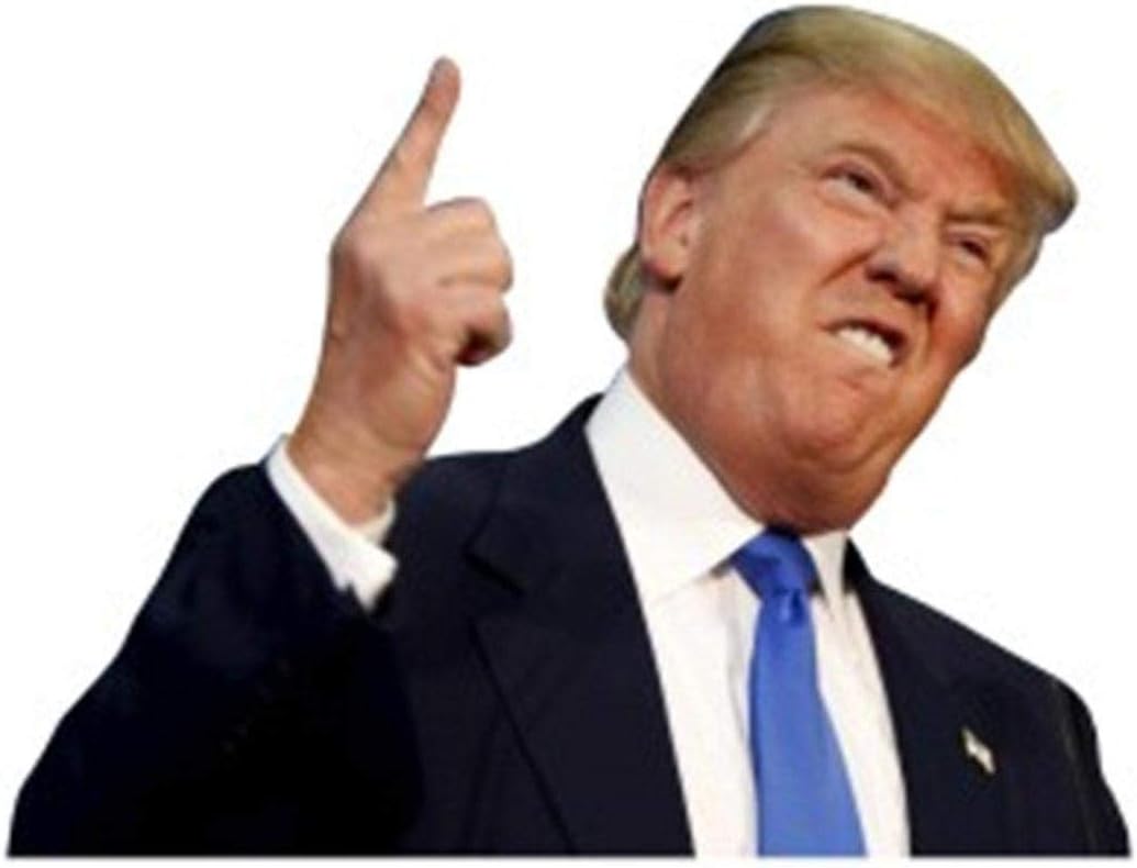 duhe1890142 Pieces car Window Stickers,U.S. Presidential Congress Car Window Sticker car Stickers Waterproof Transparent Auto Glass Decal