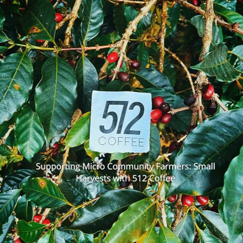512 Coffee Ethiopia Yirgacheffe