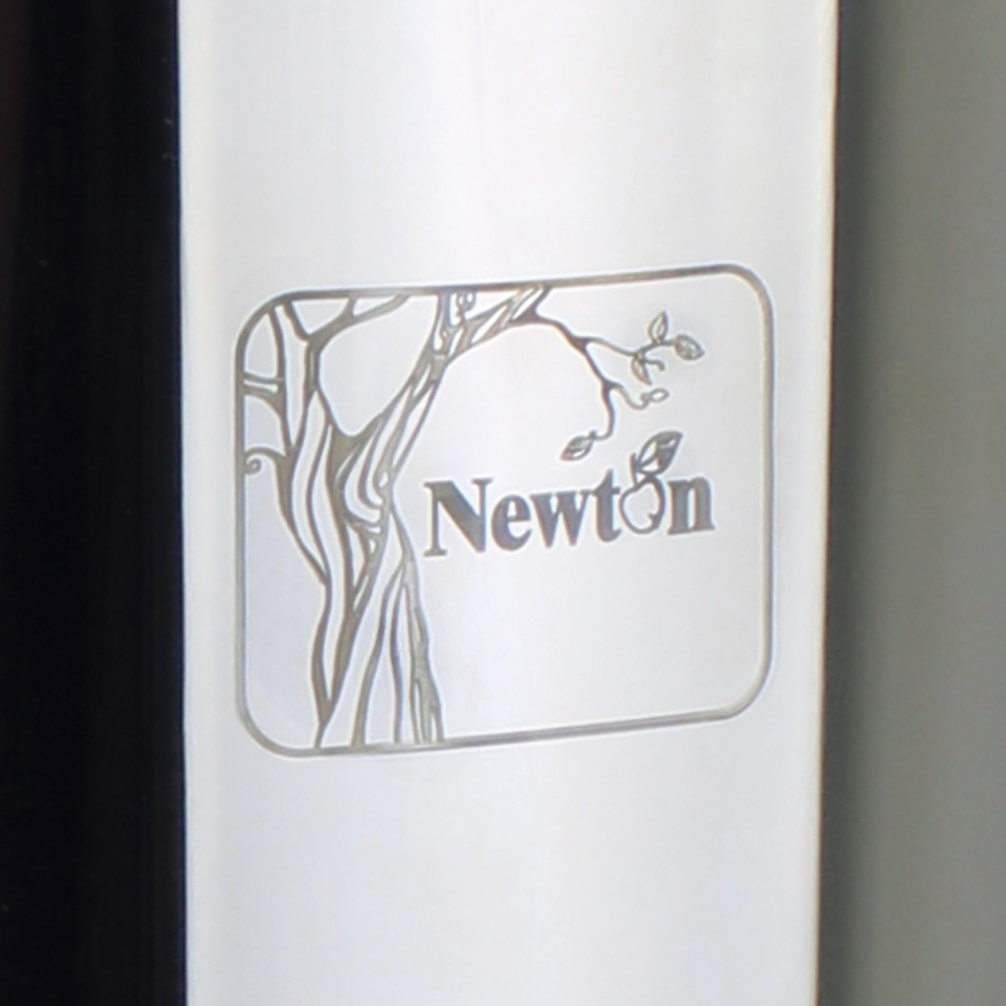 NEWTON Système de filtre à eau à gravité Premium avec retrait du fluor | Capacité 6L | Système complet avec 2 bougies de filtre, support en acier inoxydable et robinet de verre à vue
