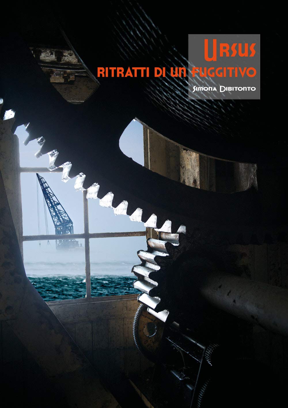 Ursus ritratti di un fuggitivo pour vos lectures d'évasion en pleine nature