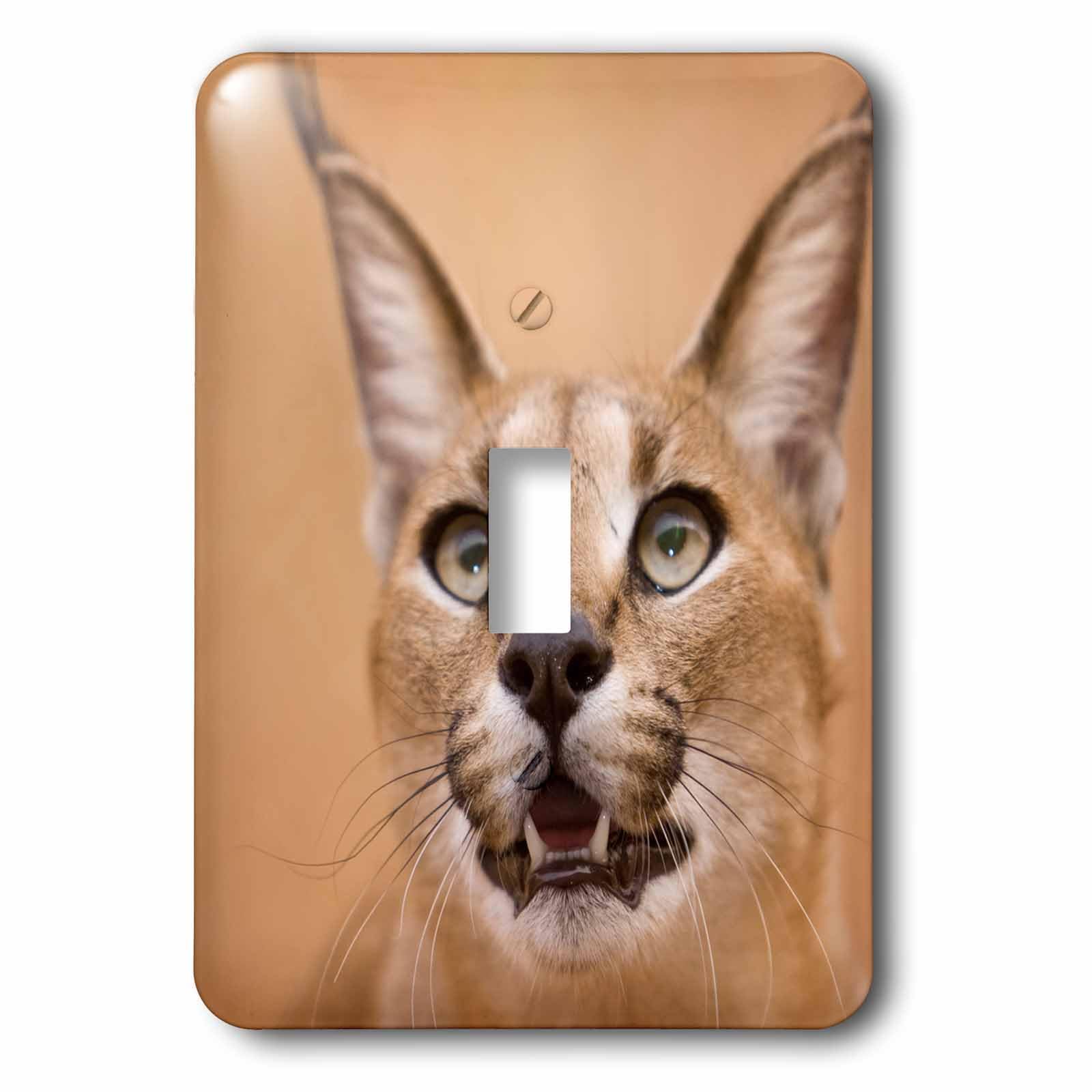 Interrupteur simple caracal 3dRose lsp_225166_1 pour remplacer une plaque blanche triste