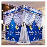 AARONG Mosquitera Mosquitera para Cama, Cama de Princesa con Dosel, Dormitorio, 4 Esquinas, Cortinas con Dosel, mosquitera Doble encriptada con Techo a Prueba de Polvo, Cortinas para Cama King Size