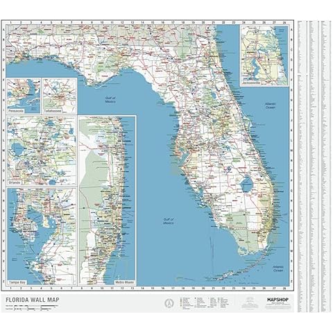 Laminated Florida State Wall Map Large Poster, Includes the Most Legible Location Labels, Vibrant Blue Color Scheme, 54” x 48”, Great for the Home, Office, or Classroom, Developed in the USA Cover