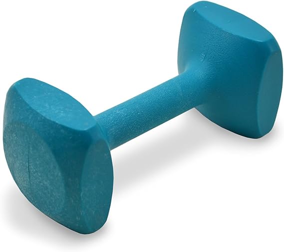 Pet Supplies J&J Dog Supplies Obedience Retrieving Dumbbell with 3