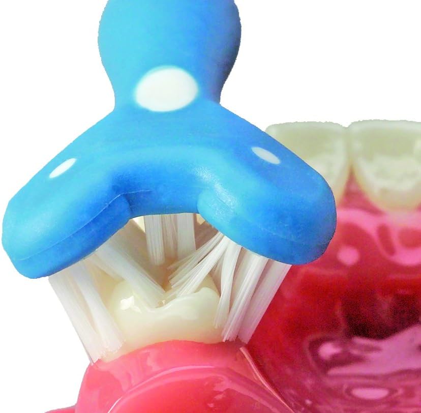 SURROUND® Toothbrush (Pack of 2) (Blue/Coral)