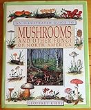 An Illustrated Guide to Mushrooms and Other Fungi of North America