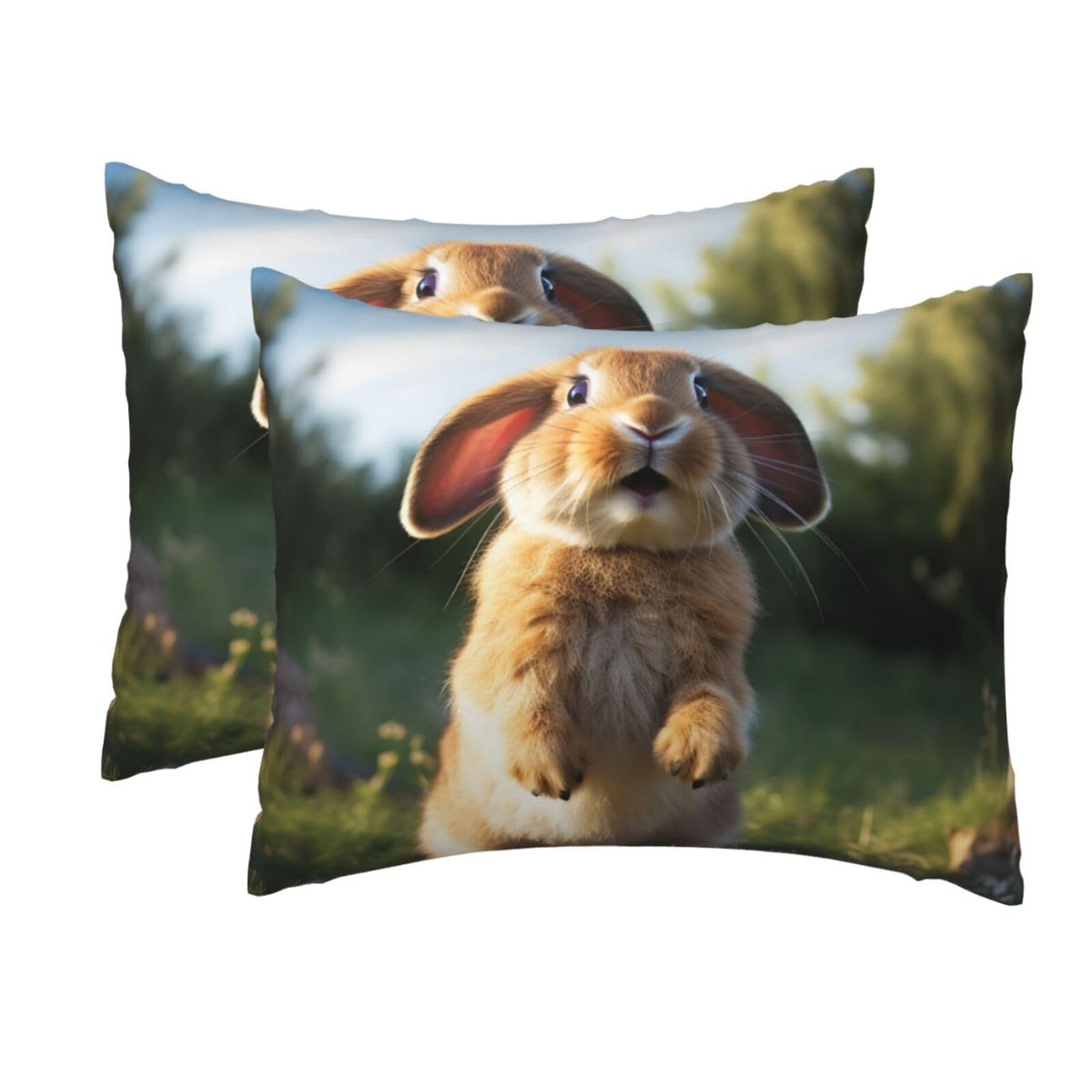 2 Pack Standard Pillow Cases with Hidden Zipper, Soft Breathable Pillow Covers for Hair and Skin, Cute Funny Rabbit Pillowcases 20"x26" Bed Pillow Protectors Cover for Sleeping Gifts
