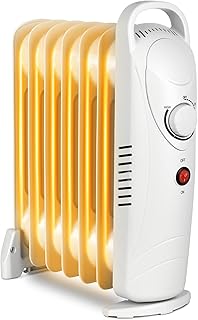 LifePlus Small Oil Filled Heater, Portable Radiant Space Heater with Energy Saving, Overheat Safety, 700W Personal Heater Quiet Work for Small Space Bedroom, Indoor use (White)