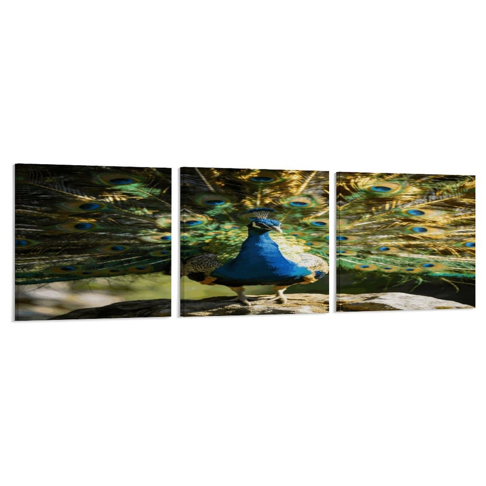Khauerbc Style Set Of 3 Beautiful Peacock With Colorful Feathers Wall Art，Paintings Artwork For Living Room, Hallway, Bedroom, Office Wall Decor For Living Room, Hallway, Bedroom, Office Paintings Artwork 8X8 Inch