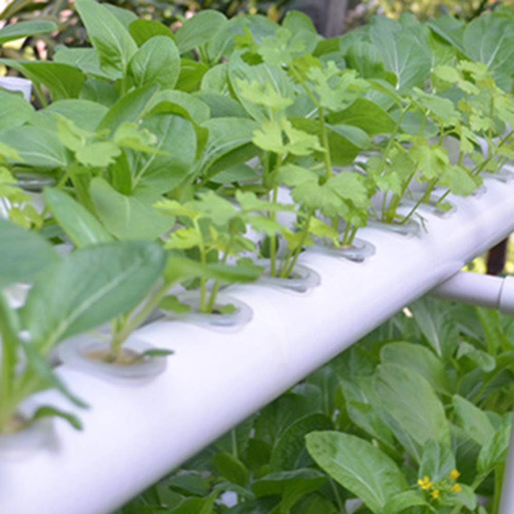 Kit de cultivo hidropónico, 36 agujeros, 4 tubos, capas de PVC, jardines acuáticos de cultivo, juego de cultivos vegetales, flores, system educativo hidropónico con bomba de agua para systems de