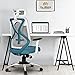 Da URBAN® Merlion Office Chair