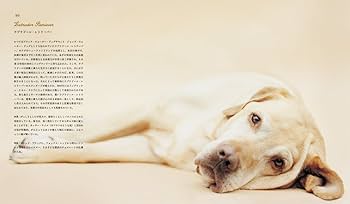 世界の美しい犬101 | レイチェル・ヘイル・マッケナ |本 | 通販 | Amazon