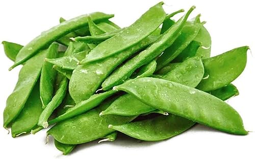 Miniatura 3 de Todd's Seeds Oregon Sugar Pod II - Semilla de guisante, sin OMG, sin químicos, alta germinación (14 libra)