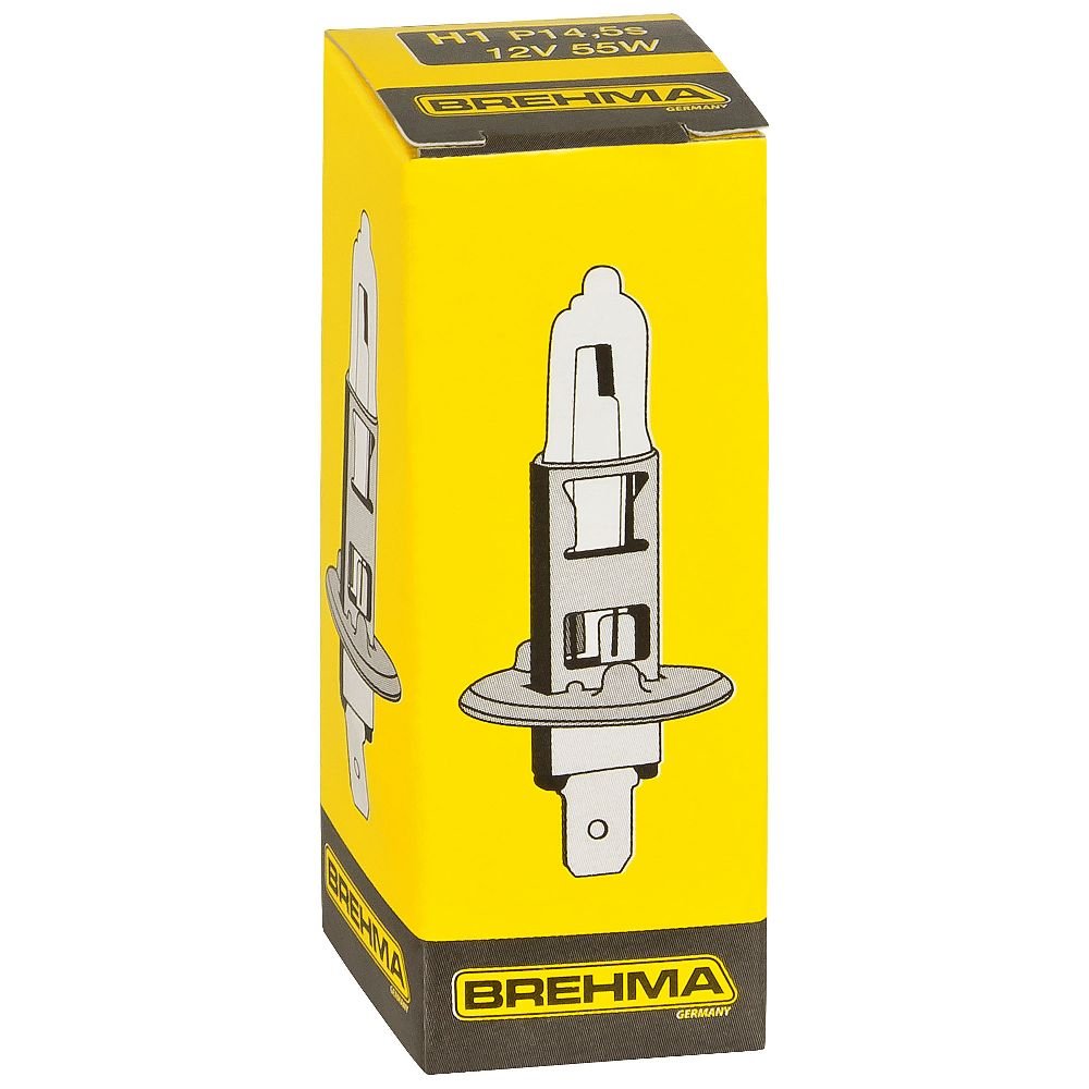 Lot de 10 ampoules halogènes H1 12 V 55 W P14,5s