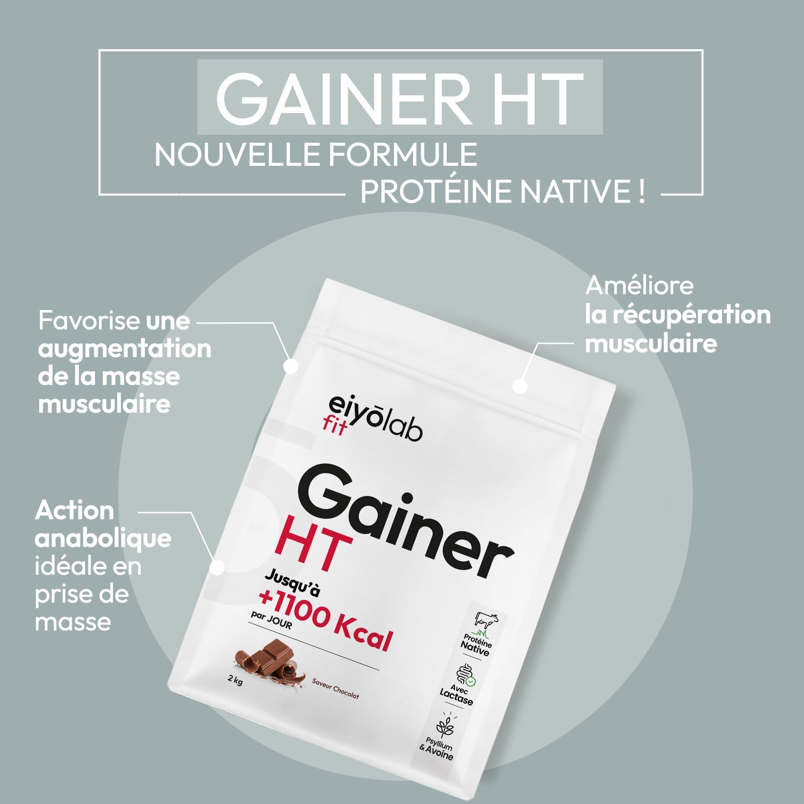 GAINER HT | 2 Sources de Protéines Natives + 2 Sources de Glucides + MCT | Gainer Prise de Masse Musculation | Whey + Caséine + Maltodextrine + Psyllium | Boisson Shaker Goût Chocolat | 2 kg | Eiyolab