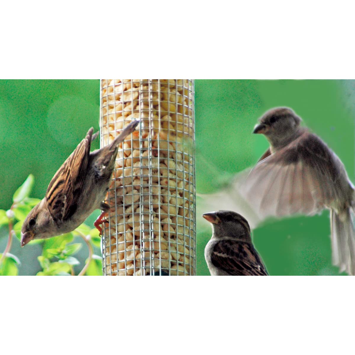 Abreuvoir Pour Oiseaux à Suspendre Pour Garde-corps De Balcon, Distributeur D'eau Et De Nourriture Pour Oiseaux Pour Jardin Et Balcon, Mangeoire Et Abreuvoir Suspendus (Bleu Foncé