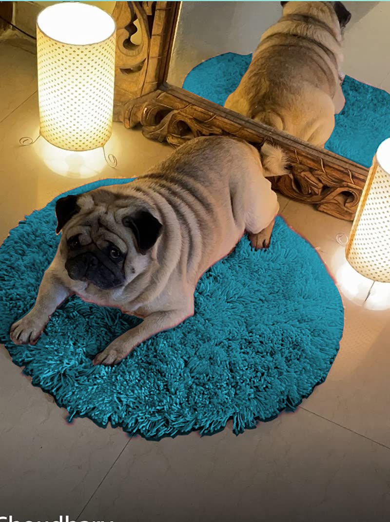See full amazon price history chart for Naze Modern Polyester Anti Slip Round Shaggy Fluffy Fur Rug and Carpet for Living Room, Bedroom…2x2 feet Turquoise Naze Modern Polyester Anti Slip Round Shaggy Fluffy Fur Rug and Carpet for Living Room, Bedroom…2x2 feet Turquoise (B096FXXYY6) Amazon Price History, Amazon Price Tracker