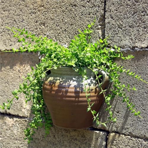 Pots de fleurs à visage Yofab déco murale étanche sans fuite d'eau