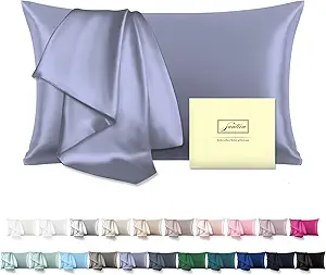 Natural Mulberry Silk Pillowcase for Hair and Skin Queen Size 20"X30" Silk Pillow Case with Hidden Zipper Soft Breathable Smooth Cooling Silk Pillow Covers for Sleeping(Grayish Blue,Queen,1Pcs)
