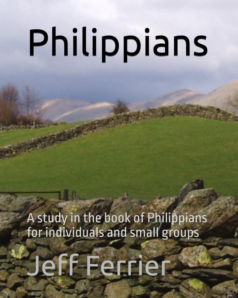Philippians: A study in the book of Philippians for individuals and small groups (Studies in the New Testament for Small Groups and Individuals)