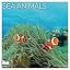 2027 Sea Animals