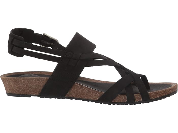 teva ysidro black