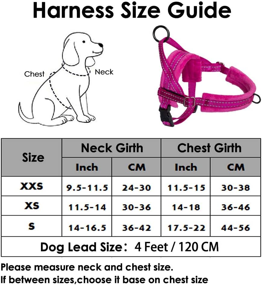 Eyein Small Dog Harness & Lead - Image 2