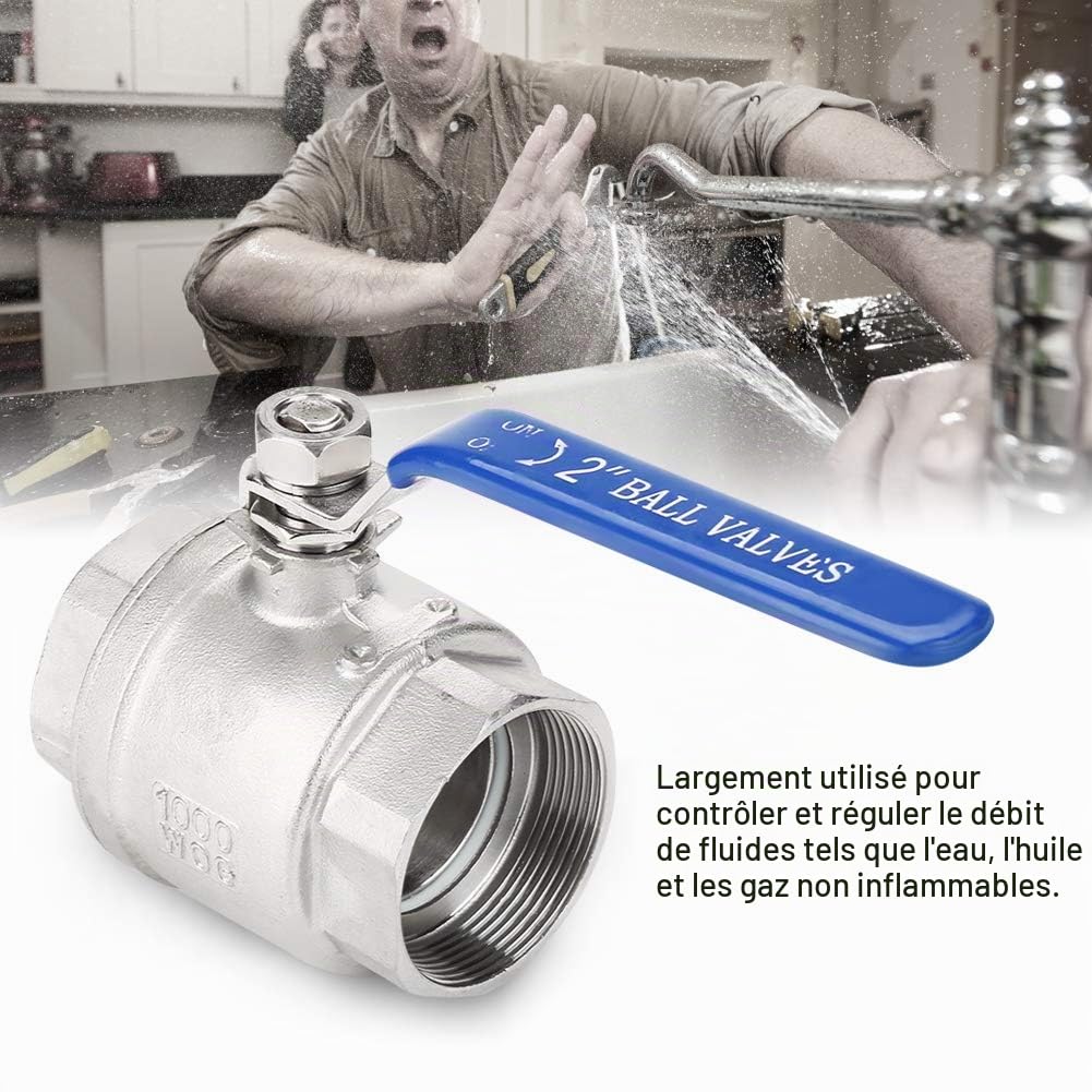 Vanne à Boule à Filetage Femelle 304 Acier Inoxydable 2 Pouces DN50 - Port Complet 1000psi WOG - Deux Pièces à Levier Manuel Bleu