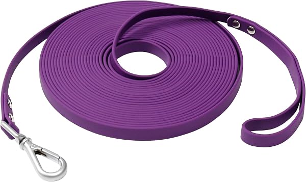 Long Leash Waterproof Training Longline Outdoor Dog Leash Great for Training, Beach, Yard, Play, Camping - 1