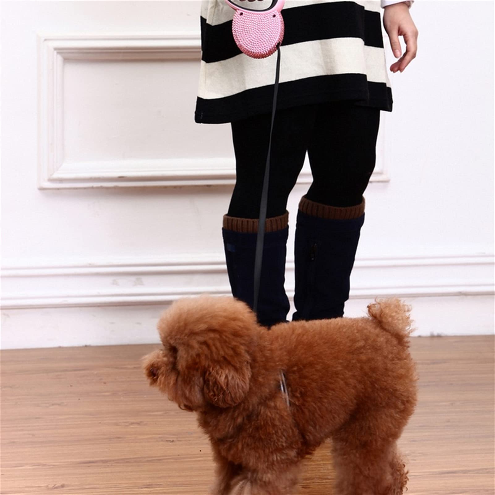 Laisse rétractable pour chien - Avec strass - Bleu et rose - 3 m - Couleur : bleu - Taille : 3 m