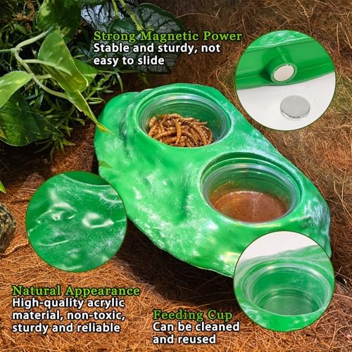 Tfwadmx Magnetic Reptile Feeder Ledge,Crested Gecko Feeding Ledge,Green — 사진 5