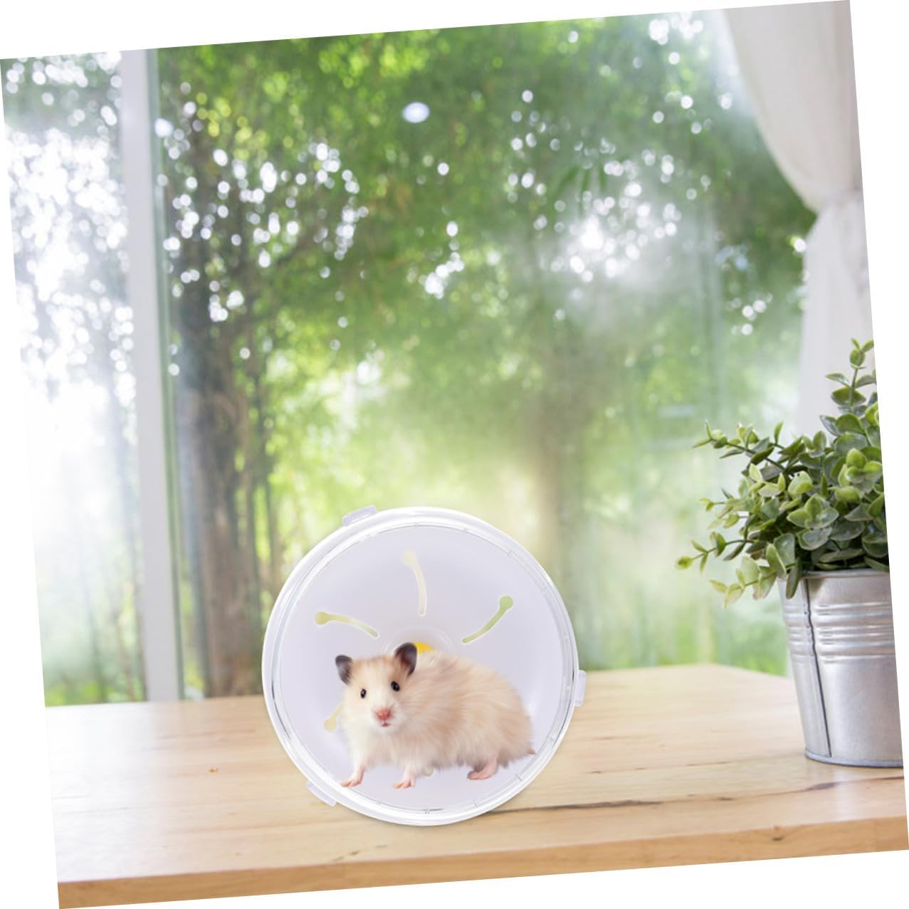 Silent Hamster Running Wheel 21cm Exercise for Gerbils, Hedgehogs, and Chinchillas Small Animals Pet Supply