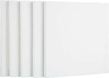 Portart Canvas 30X30 Cm 5 Pack
