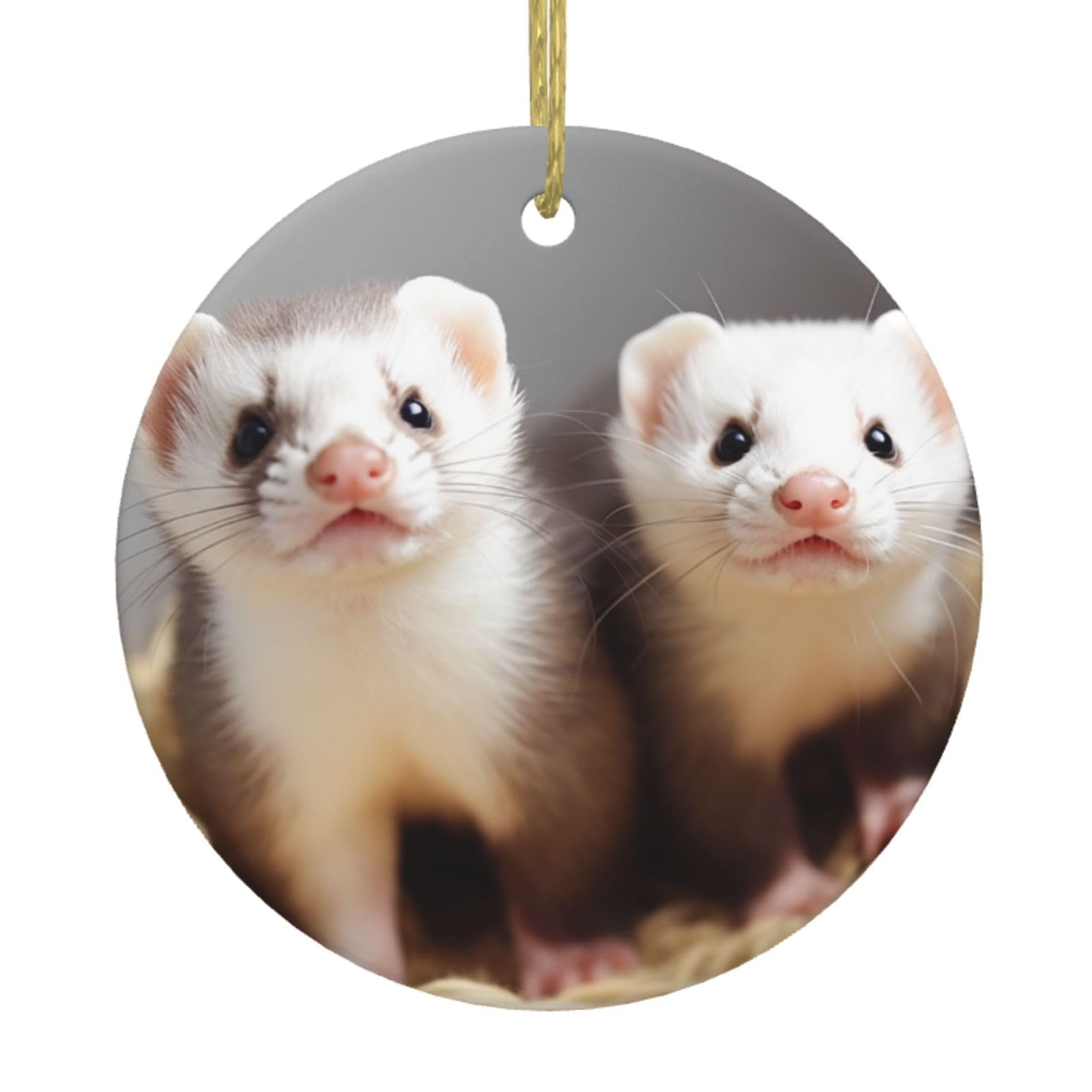 Fodpand Women's White Ferrets Christmas Ornaments 2025, Gift Exchange For Men, Collectible Ceramic Ornament Round Hanging Ornaments For Christmas Tree Decoration